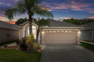6303 Gentle Ben Cir, WESLEY CHAPEL