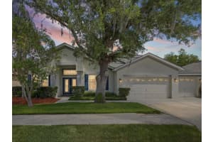 7935 CALINDRA COURT, TRINITY, FL 34655 - MLS#MFRTB8388387