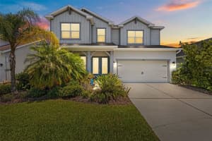 3161 SATILLA LOOP, ODESSA, FL 33556 Sold 07/11/25