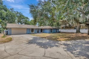 525 GORNTO LAKE ROAD, BRANDON, FL 33510 - MLS#MFRTB8388436