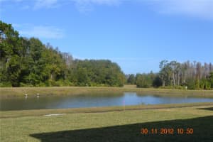 20420 CAROLINA CHERRY COURT, TAMPA, FL 33647 - MLS#MFRTB8388486