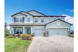 7628 Surf Reed Way, WESLEY CHAPEL