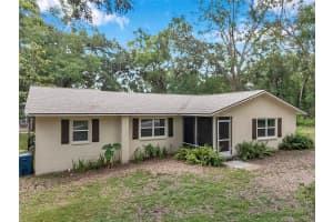 316 JENKINS AVENUE, BROOKSVILLE, FL 34604 - MLS#MFRTB8388520