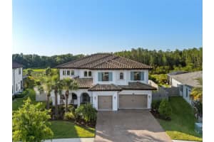 28512 PICANA LANE, WESLEY CHAPEL, FL 33543 Sold 06/23/25
