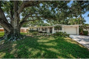 4106 W Fielder St, TAMPA