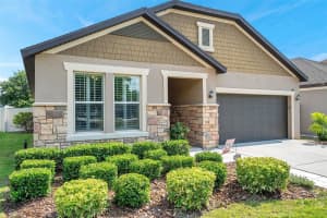 11314 American Holly Dr, RIVERVIEW