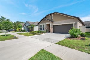 11314 AMERICAN HOLLY DRIVE, RIVERVIEW, FL 33578 - MLS#MFRTB8388557