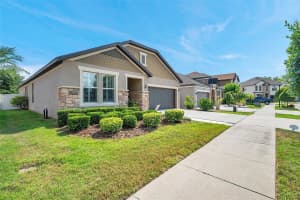 11314 AMERICAN HOLLY DRIVE, RIVERVIEW, FL 33578 - MLS#MFRTB8388557