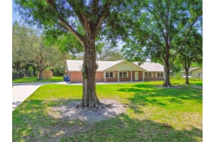 17801 SIMMONS ROAD, LUTZ, FL 33548 Sold 07/02/25