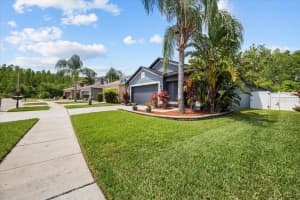 18516 SNOWDONIA DRIVE, LAND O LAKES, FL 34638 Sold 07/10/25