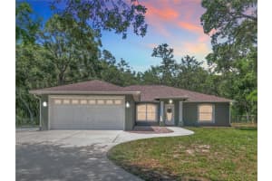 1199 E Mckinley St, HERNANDO
