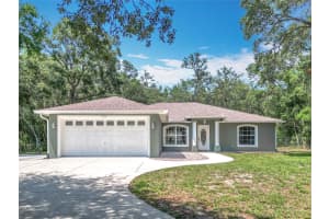 1199 MCKINLEY STREET, HERNANDO, FL 34442 - MLS#MFRTB8388640