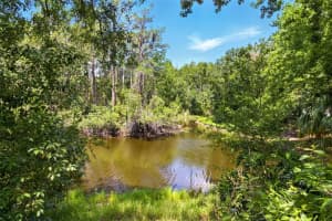4419 LONGSHORE DRIVE, LAND O LAKES, FL 34639 Sold 07/03/25