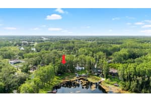 22004 DUPREE DRIVE, LAND O LAKES, FL 34639 - MLS#MFRTB8388665