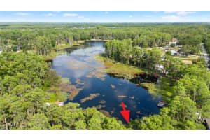 22004 DUPREE DRIVE, LAND O LAKES, FL 34639 - MLS#MFRTB8388665