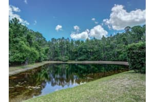 3910 SAYWOOD COURT, PALM HARBOR, FL 34685 Sold 08/27/25