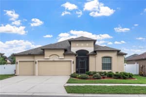 8511 WHITE POPLAR DRIVE, RIVERVIEW, FL 33578 Sold 07/11/25