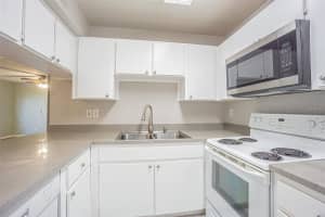 3002 CLEVELAND STREET, TAMPA, FL 33609 - MLS#MFRTB8388699