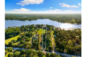 18258 WAYNE ROAD, ODESSA, FL 33556 - MLS#MFRTB8388701