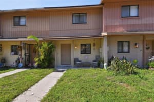 4017 Cedar Limb Ct, TAMPA
