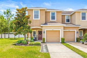 6974 HOLLY HEATH DRIVE, RIVERVIEW, FL 33578 Sold 07/31/25