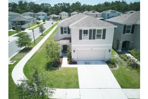 10826 Trailing Vine Dr, TAMPA