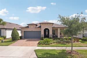 19183 COASTAL SHORE TERRACE, LAND O LAKES, FL 34638 - MLS#MFRTB8388841