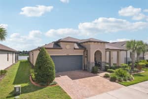 19183 COASTAL SHORE TERRACE, LAND O LAKES, FL 34638 - MLS#MFRTB8388841