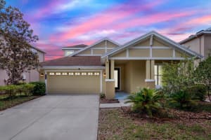 20106 Bending Creek Pl, TAMPA