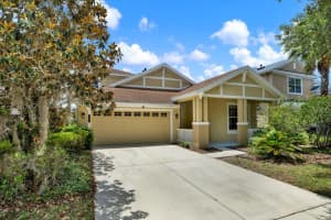 20106 BENDING CREEK PLACE, TAMPA, FL 33647 - MLS#MFRTB8388888