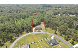 27338 ELKWOOD CIRCLE, WESLEY CHAPEL, FL 33544 - MLS#MFRTB8388903