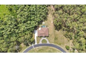 27338 ELKWOOD CIRCLE, WESLEY CHAPEL, FL 33544 - MLS#MFRTB8388903