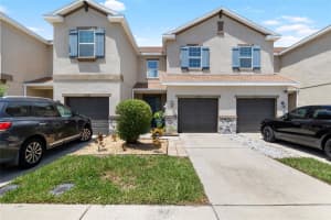 12353 Bayou Flats Ln, TAMPA