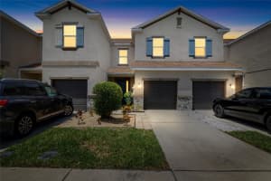 12353 BAYOU FLATS LANE, TAMPA, FL 33635 - MLS#MFRTB8388926
