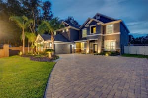 1229 Hillandale Reserve Dr, TAMPA