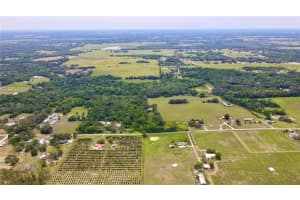 14435 CURLEY ROAD, DADE CITY, FL 33525 - MLS#MFRTB8388986