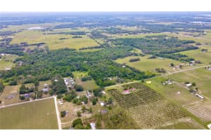 14435 CURLEY ROAD, DADE CITY, FL 33525 - MLS#MFRTB8388986
