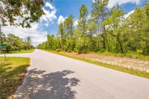 16295 MOUNT SPARROW ROAD, WEEKI WACHEE, FL 34614 - MLS#MFRTB8388991