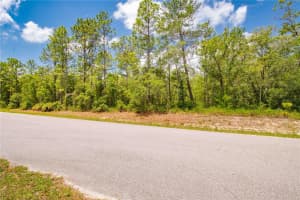 16295 MOUNT SPARROW ROAD, WEEKI WACHEE, FL 34614 - MLS#MFRTB8388991
