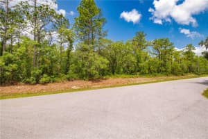 16295 MOUNT SPARROW ROAD, WEEKI WACHEE, FL 34614 - MLS#MFRTB8388991