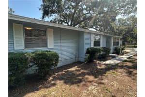 8618 ORANGEVIEW AVENUE, TAMPA, FL 33617 Sold 07/03/25