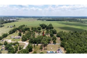 9630 NELSON ROAD, DADE CITY, FL 33525 - MLS#MFRTB8389064