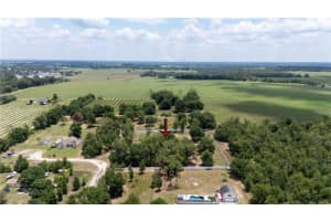 9630 NELSON ROAD, DADE CITY, FL 33525 - MLS#MFRTB8389064