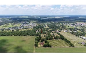 9630 NELSON ROAD, DADE CITY, FL 33525 - MLS#MFRTB8389064