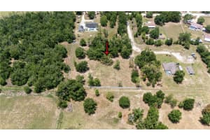 9630 NELSON ROAD, DADE CITY, FL 33525 - MLS#MFRTB8389064