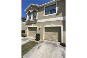 8922 Moonlit Meadows Loop, RIVERVIEW