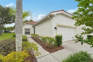 10263 Devonshire Lake Dr, TAMPA