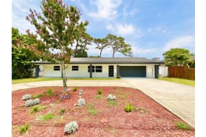 1290 Michigan Blvd, DUNEDIN