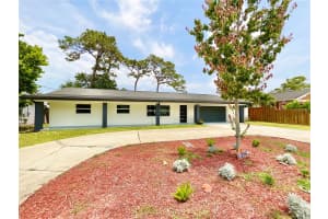 1290 MICHIGAN BOULEVARD, DUNEDIN, FL 34698 - MLS#MFRTB8389154