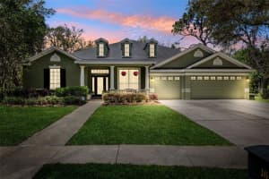 16039 Ternglade Dr, LITHIA